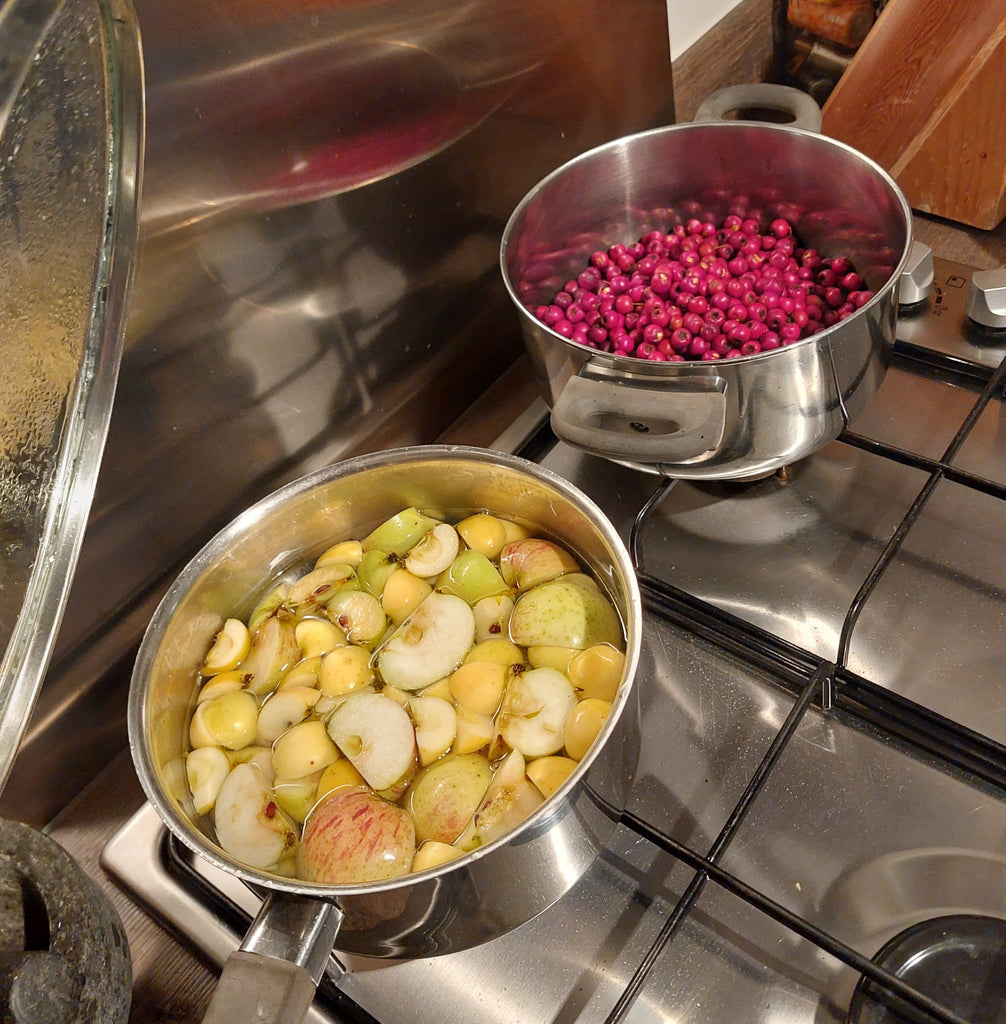 Autumnal Foraging Guide – with a focus on Hawthorn & Making Fruit Leather